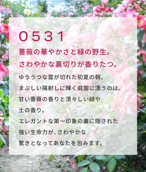 スキンフレグランス0531(10包)