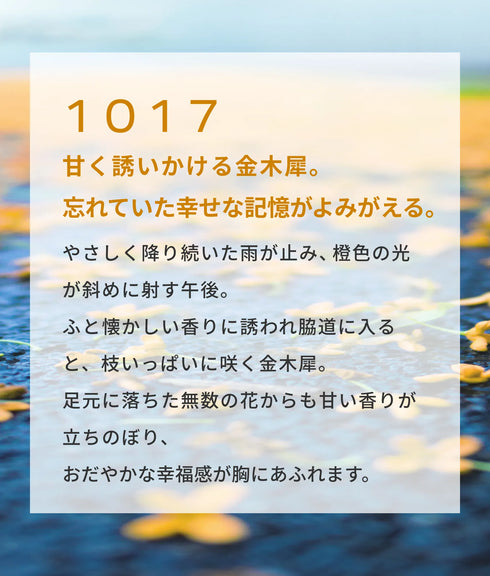 スキンフレグランス1017(10包)