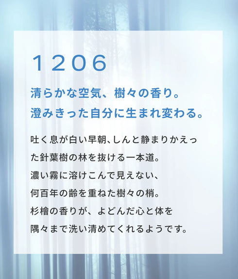 スキンフレグランス1206(10包)