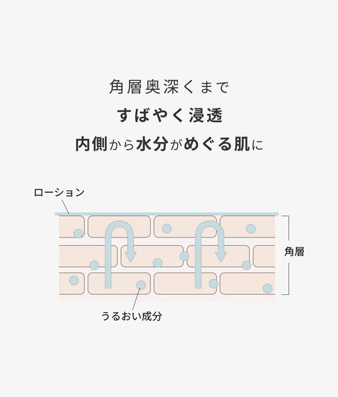 hadakikiローション KOBOREYUKI