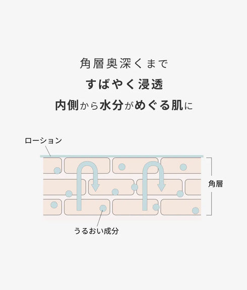 hadakikiローション KOBOREYUKI