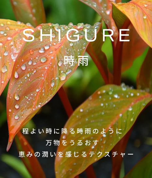 hadakikiローション SHIGURE