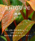 hadakikiローション SHIGURE