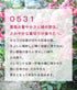 scent tag 0531