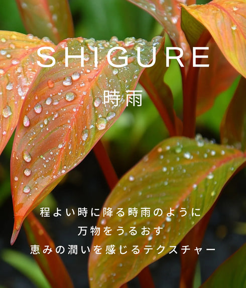 hadakikiローション SHIGURE