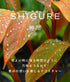 hadakikiローション SHIGURE
